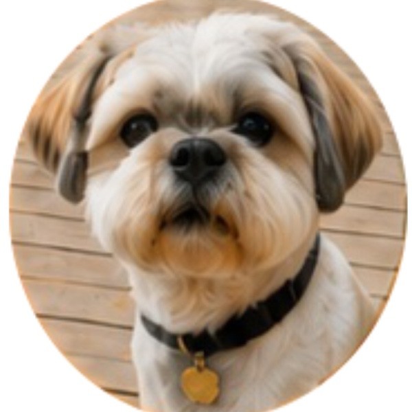 Ship's Dog: Ritz (the Admiral) Ship's Dog: Ritz (the Admiral)